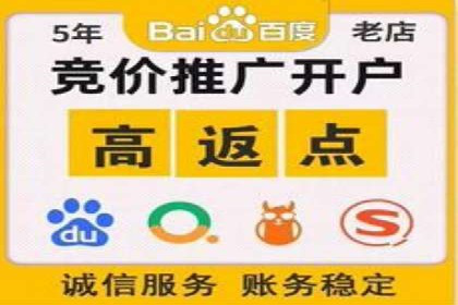 SEO与SEM案例分析：提升网站排名策略